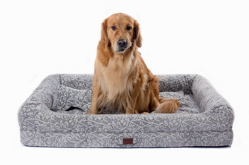 Cuccia ortopedica per cani